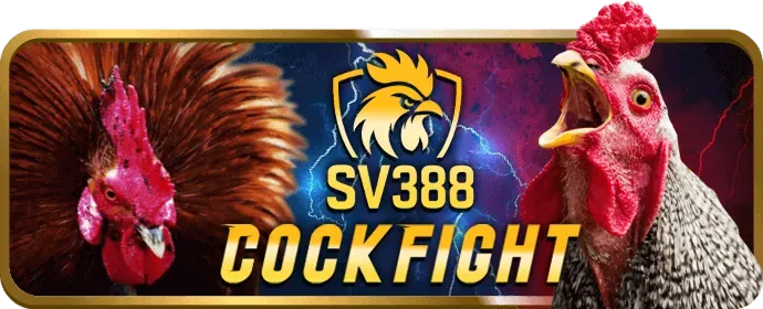 Các câu hỏi thường gặp về đá gà trực tuyến 86bet